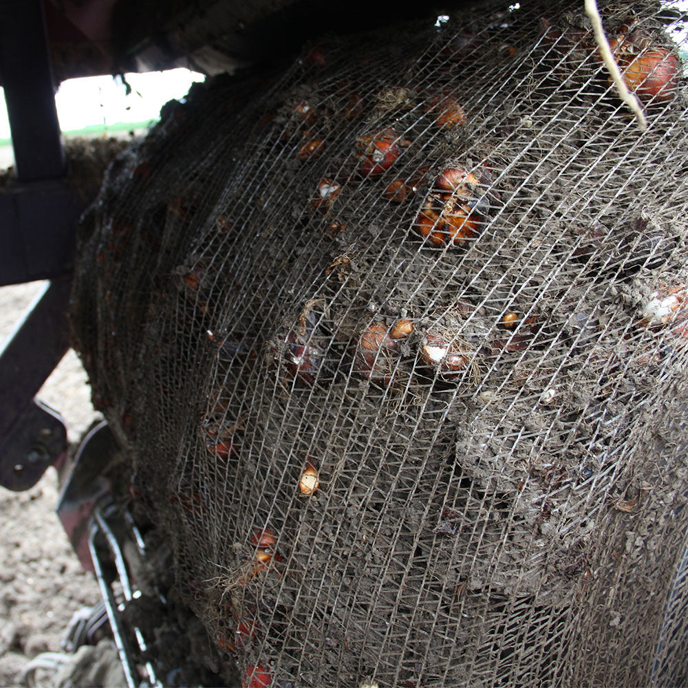 Flower Bulb Nets